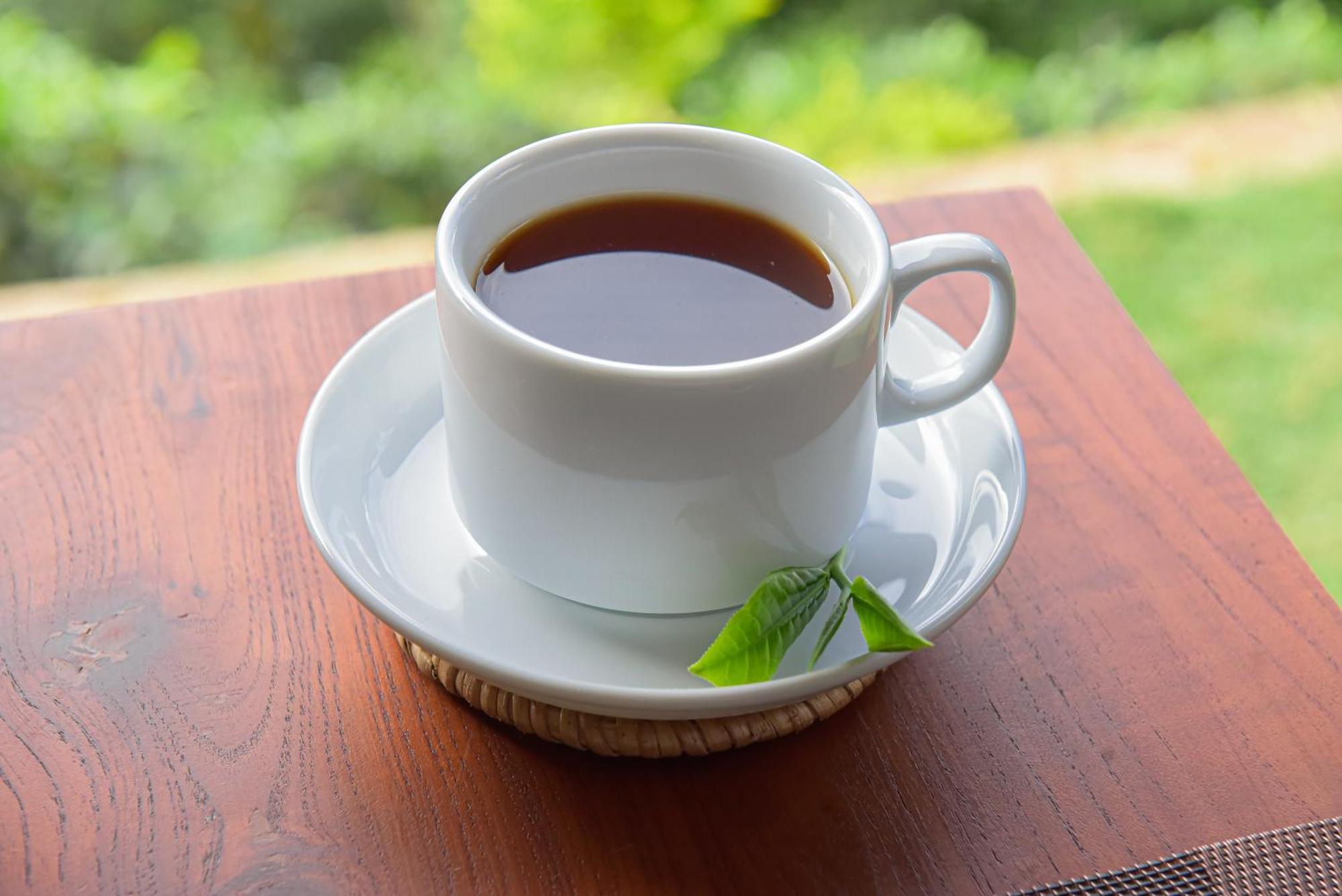 Tea Hills Ella Hotel Ngoại thất bức ảnh