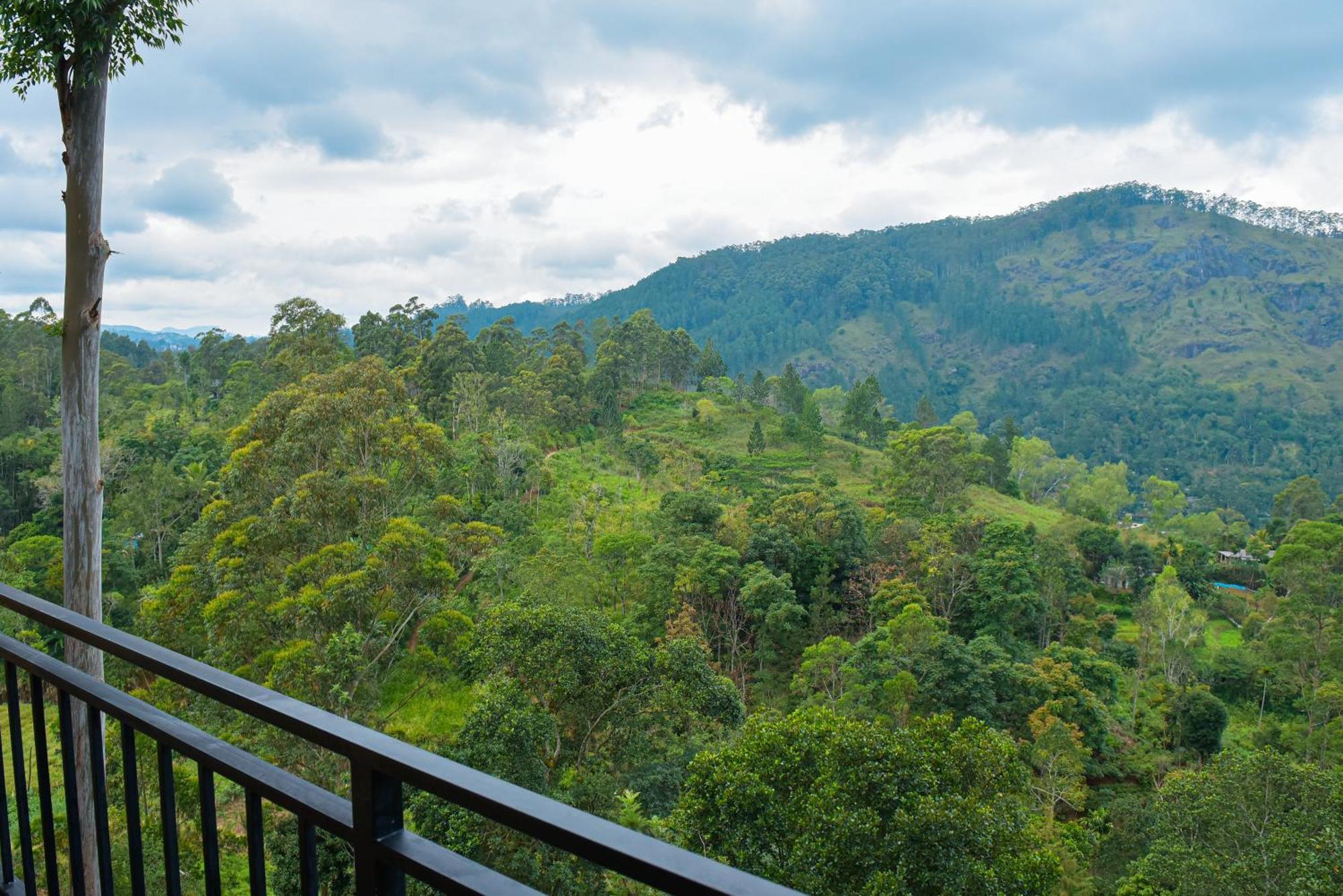 Tea Hills Ella Hotel Ngoại thất bức ảnh