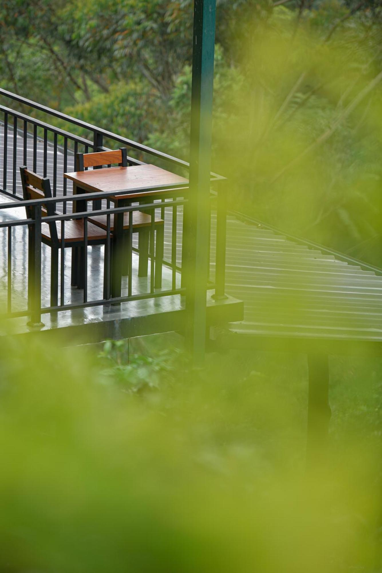 Tea Hills Ella Hotel Ngoại thất bức ảnh