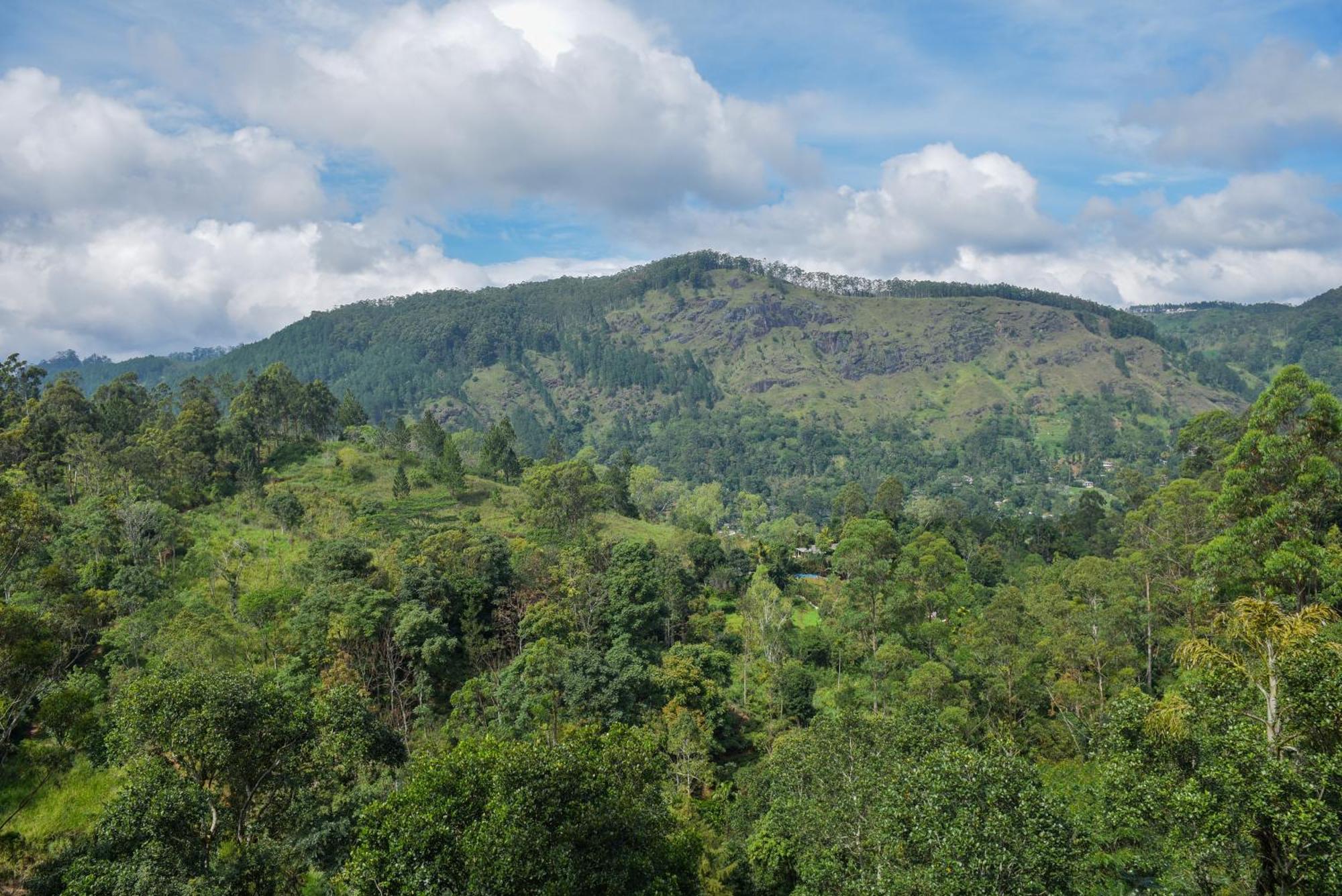Tea Hills Ella Hotel Ngoại thất bức ảnh